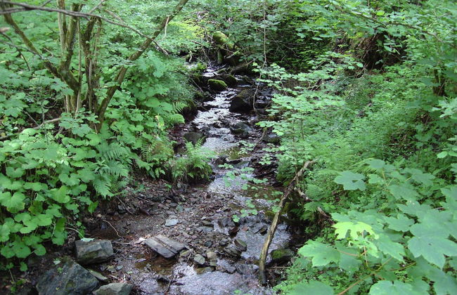 Gemutliches Appartement in Hallenberg mit Terrasse - Foto 26