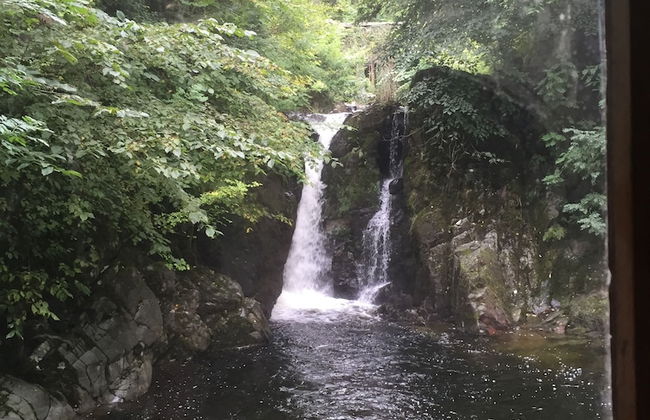 Hapimag Burnside Park Apartments - Foto 69