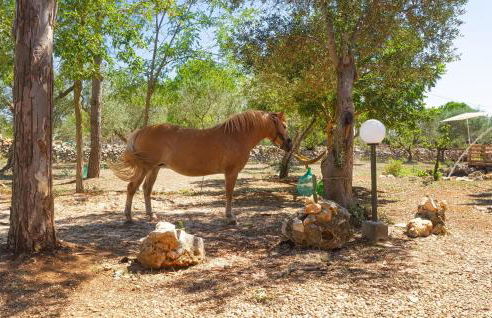 Cozy Home In Acquaviva Delle Fonti - Foto 8