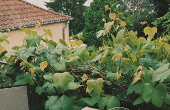 Am Mühlenberg - Photo 63