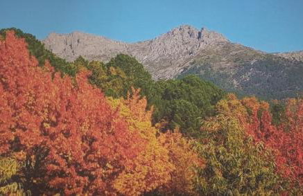 Casa Johana - Foto 20
