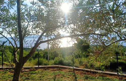 Stone House Sea View Vista Natura Private Garden Quiet Location - Photo 35