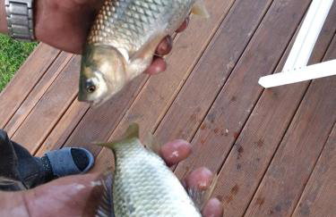 Malowniczy Zakątek w Dercu - Foto 27