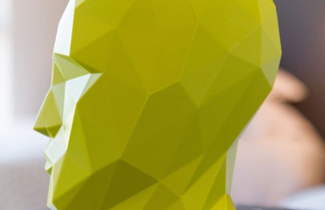 WINK Quiver Tree - Foto 33