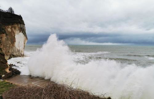 Studio vue mer L échappée normande - Foto 20