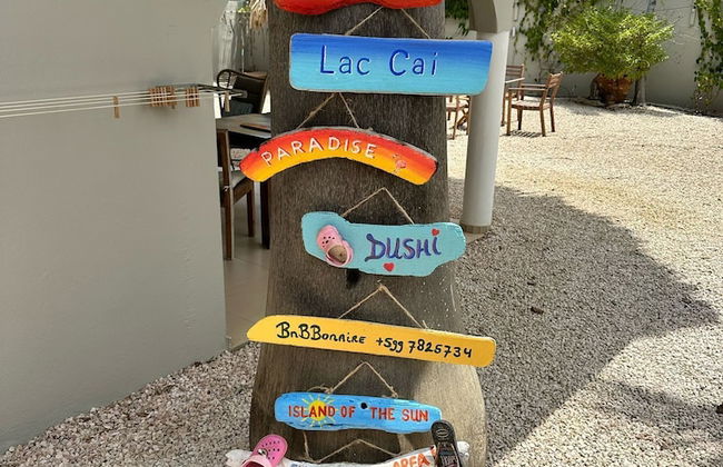 BnBBonaire - Foto 35