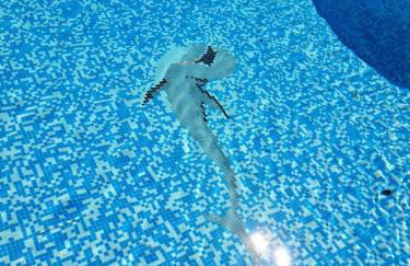 Schönes ruhiges Rooftop Apartment mit großer Dachterrasse - Foto 32