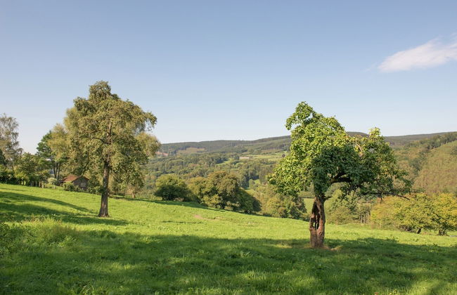 Holiday Home in Stoumont near Town of Spa - Photo 42