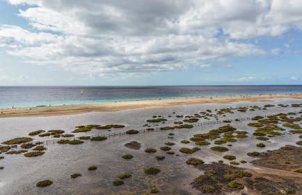 La Brisa Atlántica - Foto 37
