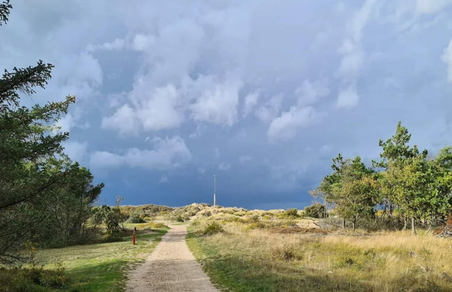 4 Star Holiday Home in Frederiksvaerk - Foto 3
