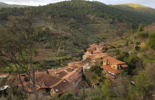 Luna Menguante - Foto 30