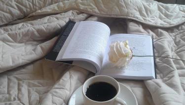 Central 2 quartos WIFI Próximo shopping JL e terminal rodoviário - Foto 2