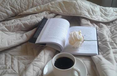 Central 2 quartos WIFI Próximo shopping JL e terminal rodoviário - Foto 2