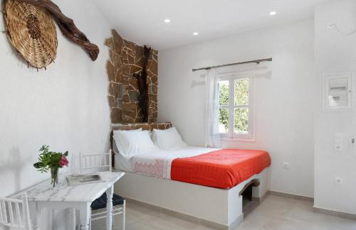 Politimis Studio N1 - Foto 8