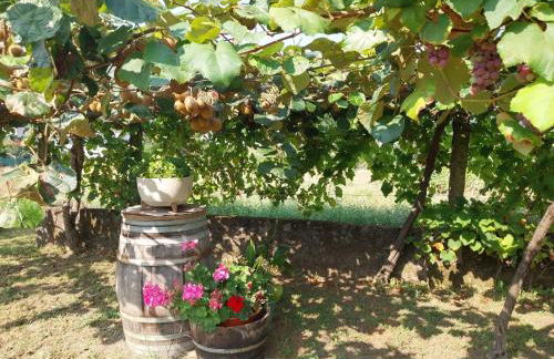 O Berce Padrón casa rural - Foto 39