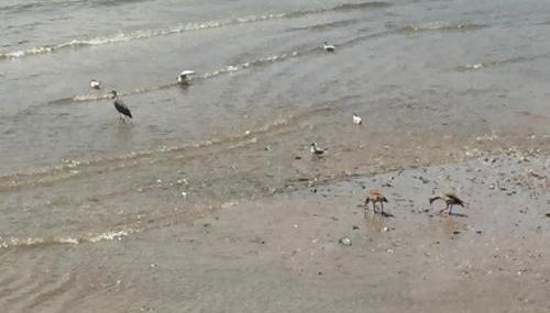 Apartment Köln Ensen - Foto 5