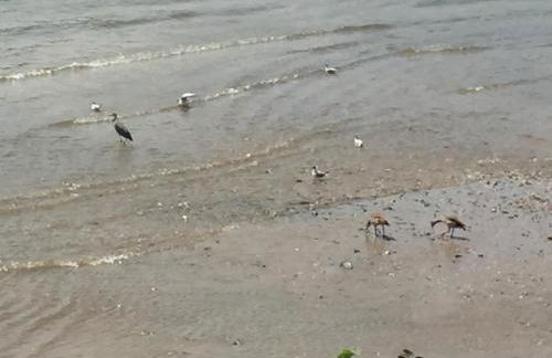 Apartment Köln Ensen - Foto 5