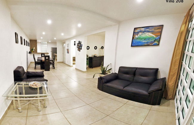 HominngBird - Foto 59