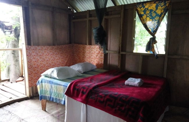 Castle Tree House - Photo 2