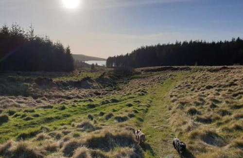 Bracken Cottage - Foto 14