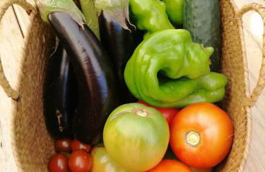 Masia Rosalia - Foto 33