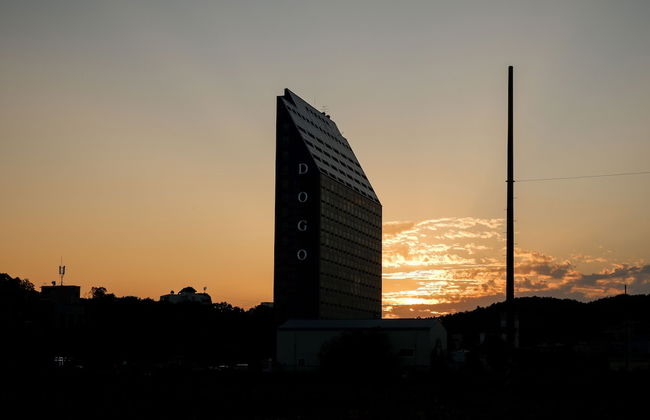 The Witt DOGO - Foto 1