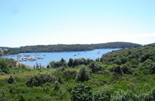 Brko Apartment - Foto 1