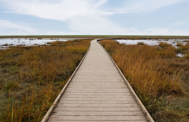 Deichhaus Küstenwind - Foto 63