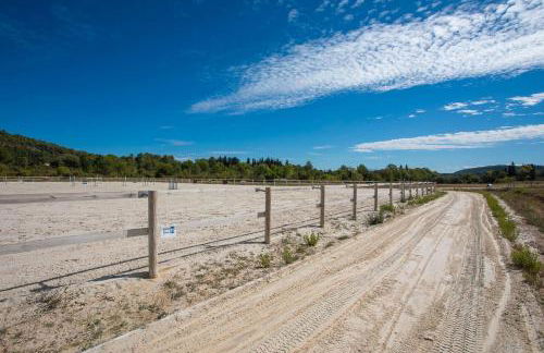 L’oliveraie Écuries Mas di Gau - Foto 26