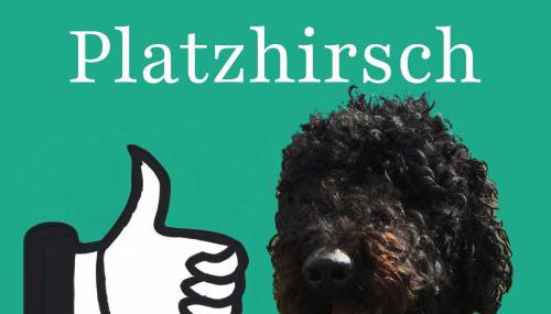 Ferienwohnungen bei der Purpurbuche - Foto 2