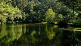 Casa Aguarela - Foto 5