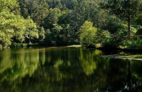 Casa Aguarela - Foto 5