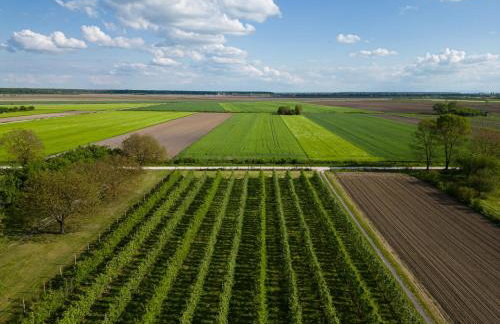 Rudine 41 - Off-Grid Riverside Home - Foto 3