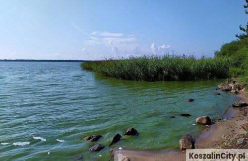 Comfortable Holiday Home Near Lake Jamno - Foto 20