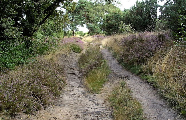 Fine Vacation Home Near Lemelerberg - Photo 38