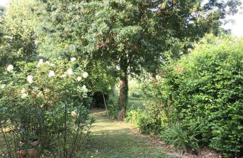 Le gîte de Gascogne - Photo 35