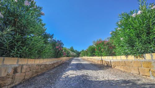 House Calafato e Testasecca - Foto 3, Garden