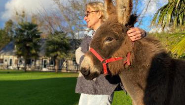 Les Gites de Claire - Foto 4