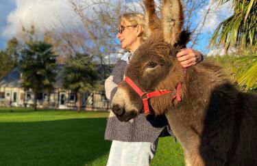 Les Gites de Claire - Foto 4