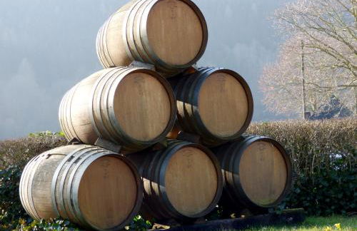 Relaxen im alten Winzerhaus Fewo EG - Foto 52