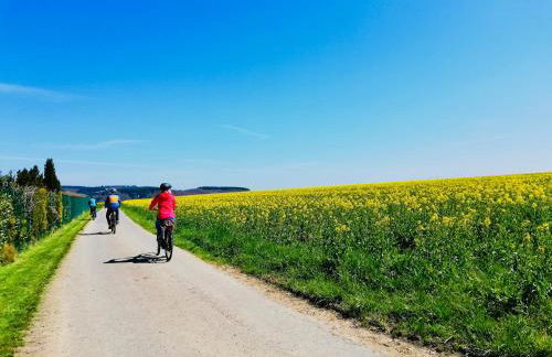 FeWo Mosel - Comfort & Relax - Foto 52