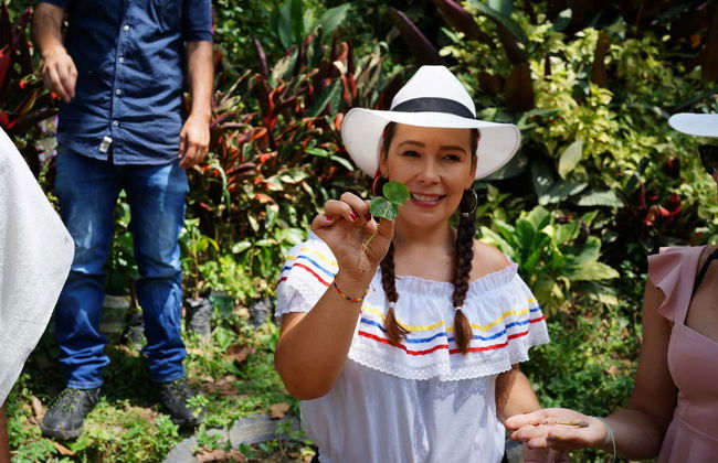 Tour do café por Medellín - Foto 4