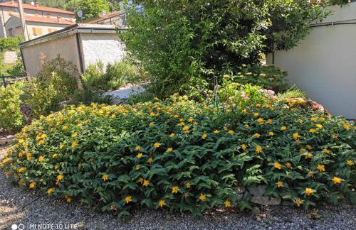 Casa Ortensia - Foto 8