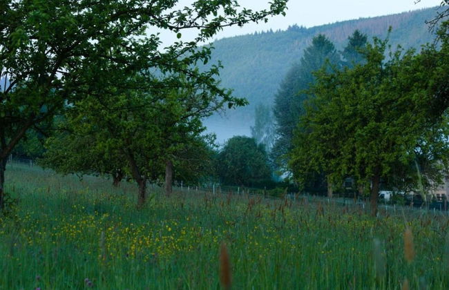 Bungalow im Feriendorf Uslar mit Gartenterrasse - Foto 29