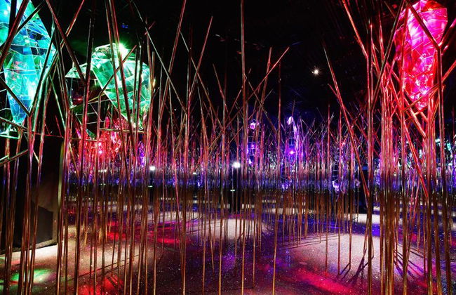 Mondi di Cristallo Swarovski - Foto 6