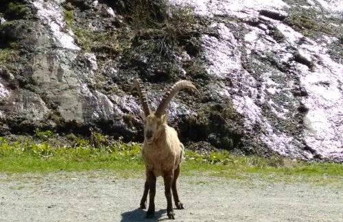 Chalet Walser à VALLORCINE 13 kms CHAMONIX France - Foto 48