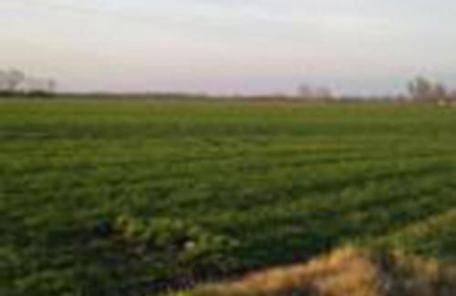 Agriturismo Quadrifoglio Relax - Foto 45