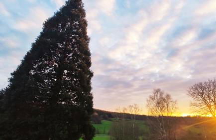 romantische Ferienwohnung im Vogelsbergkreis - Foto 17