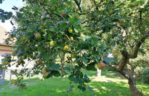 Hof am Meer "Seeperle" - Foto 16