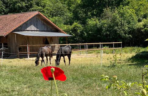 Wunderschöne Ferienwohnung zwischen Bremen und Hamburg - Foto 3